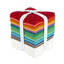 Load image into Gallery viewer, BEE CROSS STITCH FQB FABRIC by Lori Holt 35 fabric pieces for Riley Blake Stitch It Up VA