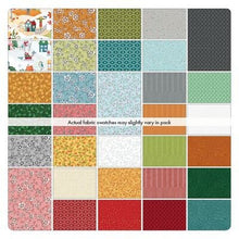 Load image into Gallery viewer, Wander Lane 2 Fabric  FQB (80pcs) box