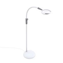 Load image into Gallery viewer, Daylight Magnificent Pro Floor Lamp