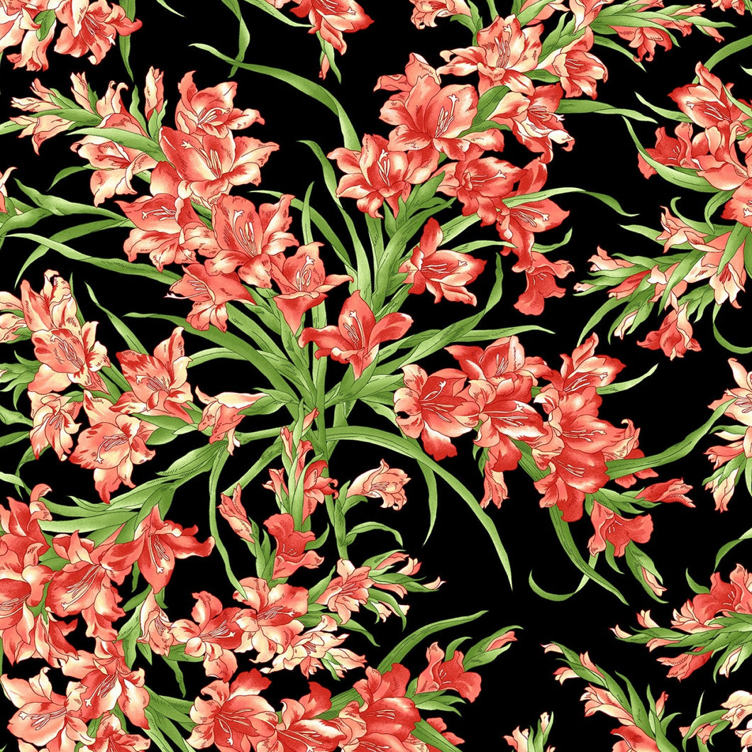 Sommersville Black Gladiolus Fabric by Maywood Studio Stitch It Up VA