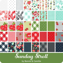 Load image into Gallery viewer, Sunday Stroll Fabric 40 pc assorted by Bonnie &amp; Camille for Moda 18&quot;x21&quot; Stitch It Up VA