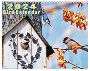 Calendar 2024/Birds