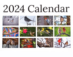Calendar 2024/Birds