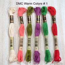 Load image into Gallery viewer, DMC Floss Embroidery Pack of 6 strand
