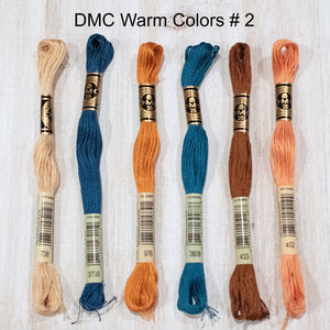 DMC Floss Embroidery Pack of 6 strand